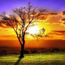 Схема вышивки «32»