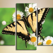 Схема вышивки «35»