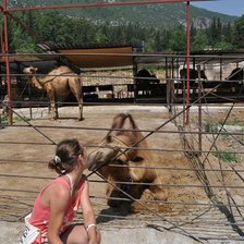Схема вышивки «Турция»