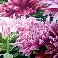 Схема вышивки «Хризантемы»