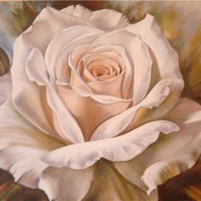 Схема вышивки «белая роза»