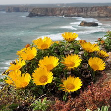 Схема вышивки «№616724»