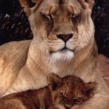 Схема вышивки «Сладкий сон»