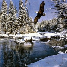 Схема вышивки «орел»