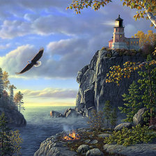 Схема вышивки «полет орла»