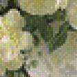Предпросмотр схемы вышивки «Натюрморт» (№616884)