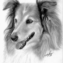 Схема вышивки «Собака»