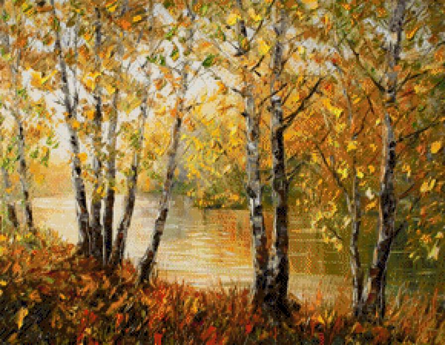 осенние березы - пейзаж - предпросмотр