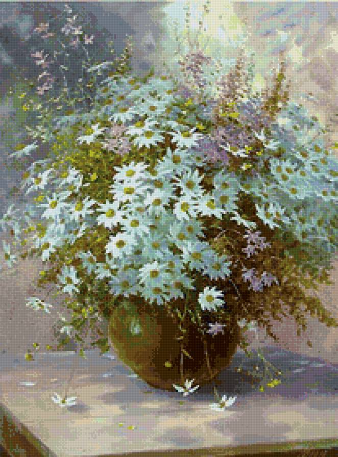 Полевые цветы - ромашки, цветы - предпросмотр