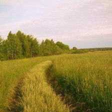 Схема вышивки «дорога»