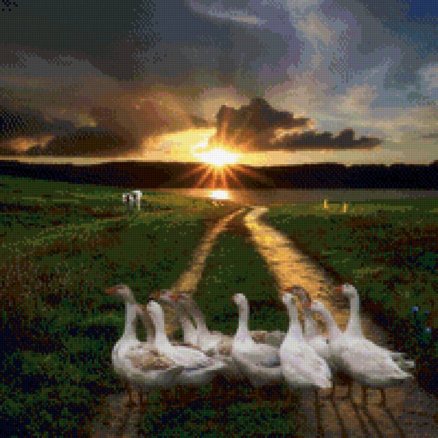 гуси - животные. природа - предпросмотр