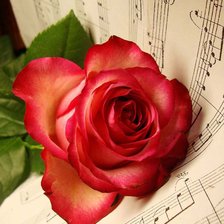 Схема вышивки «№617262»