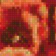 Предпросмотр схемы вышивки «Маки» (№617271)