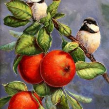 Схема вышивки «0189»