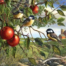 Схема вышивки «0190»