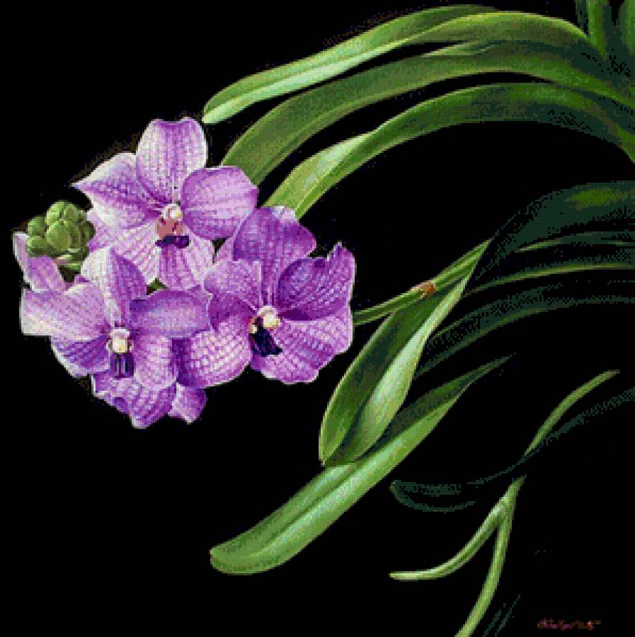 цветы - картина цветы - предпросмотр