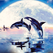 Схема вышивки «красота - касатки»