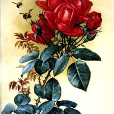 Схема вышивки «№617694»