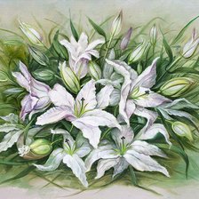 Схема вышивки «белые лилии»