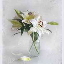 Схема вышивки «Белый натюрморт»