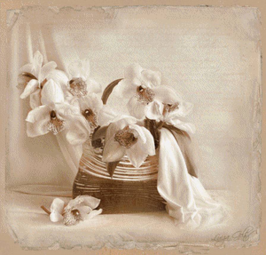 Натюрморт - натюрморт, орхидея, ваза, цветы, сепия - предпросмотр