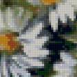 Предпросмотр схемы вышивки «Ромашки» (№617951)