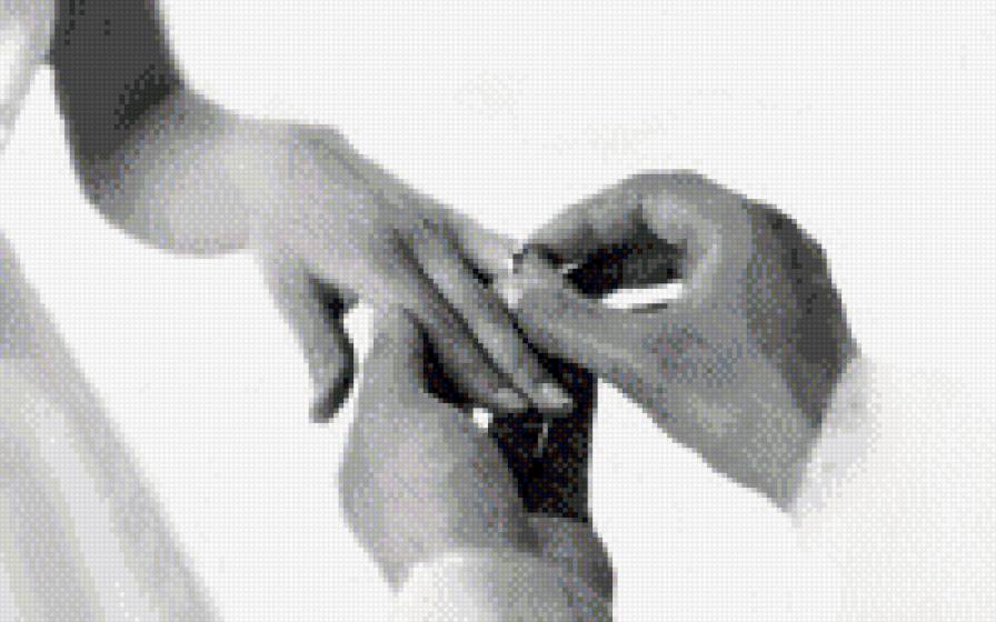 свадьба руки - свадьба, любовь, кольца, руки - предпросмотр