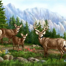 Схема вышивки «№618081»