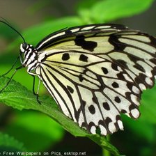 Схема вышивки «№618102»