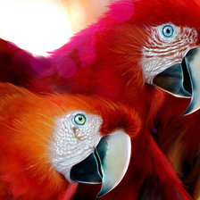 Схема вышивки «№618103»