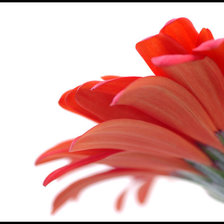 Схема вышивки «цветок»