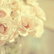 Схема вышивки «Цветы»