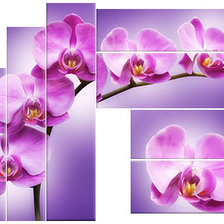 Схема вышивки «цветы»