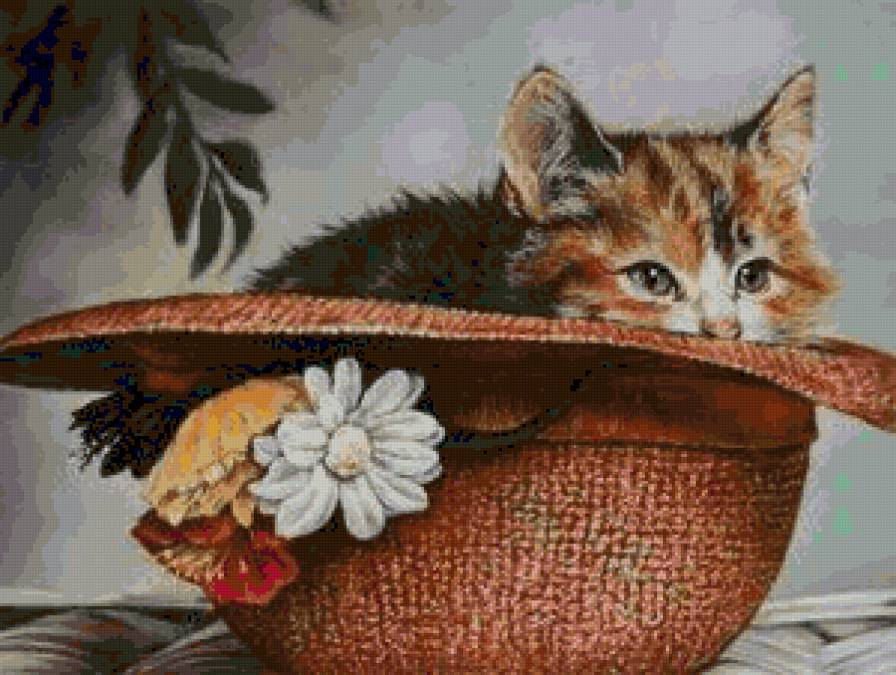 спрятался - шляпа, котики - предпросмотр