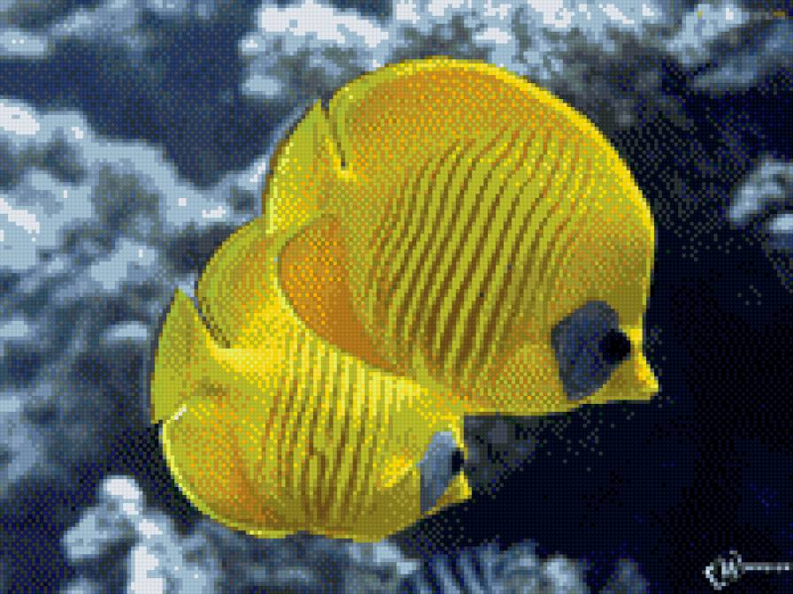 рыбки 2 - предпросмотр