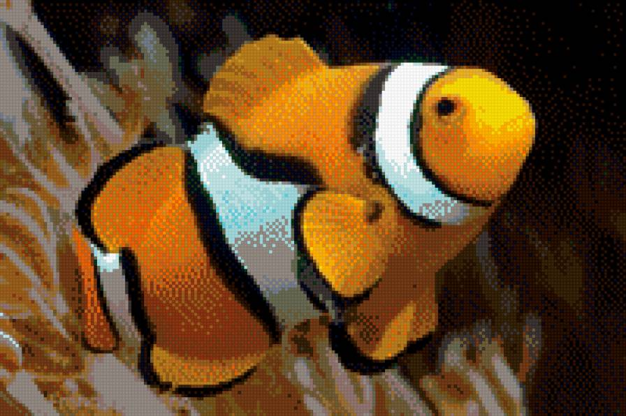 рыбка 3 - предпросмотр