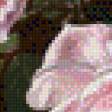 Предпросмотр схемы вышивки «roze» (№618457)