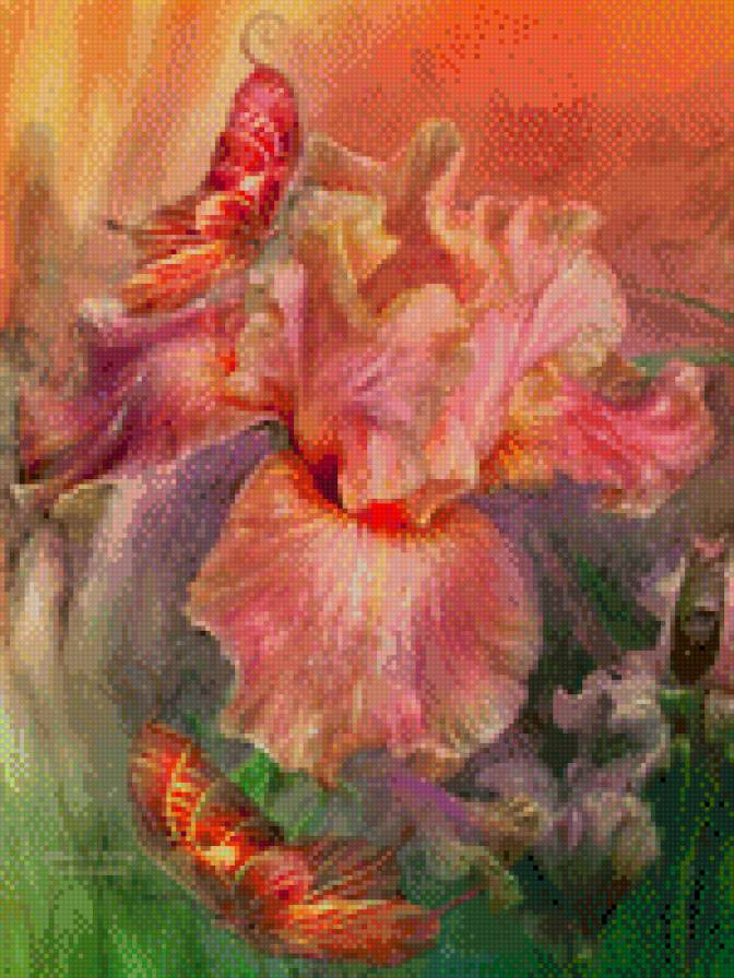 Ирис и бабочки - красота, бабочки, цветы, ирис, нежность - предпросмотр