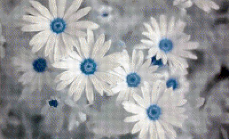 Ромашечки - ромашки, цветы, минимализм - предпросмотр