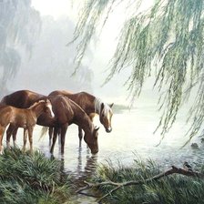 Схема вышивки «№618701»