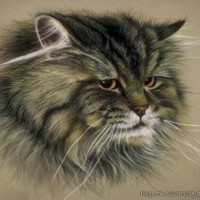 Схема вышивки «кошка»