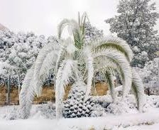 Схема вышивки «№619082»