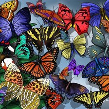 Схема вышивки «Бабочки»