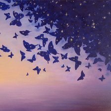 Схема вышивки «Бабочки»