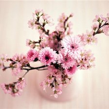 Схема вышивки «Цветочки»