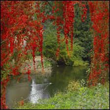 Схема вышивки «№619229»