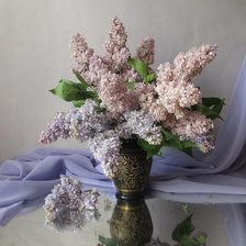 Схема вышивки «№619238»