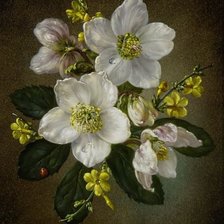 Схема вышивки «белые цветы»