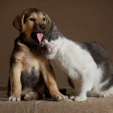 Схема вышивки «№619540»