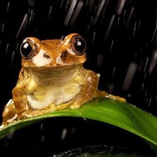 Схема вышивки «№619544»